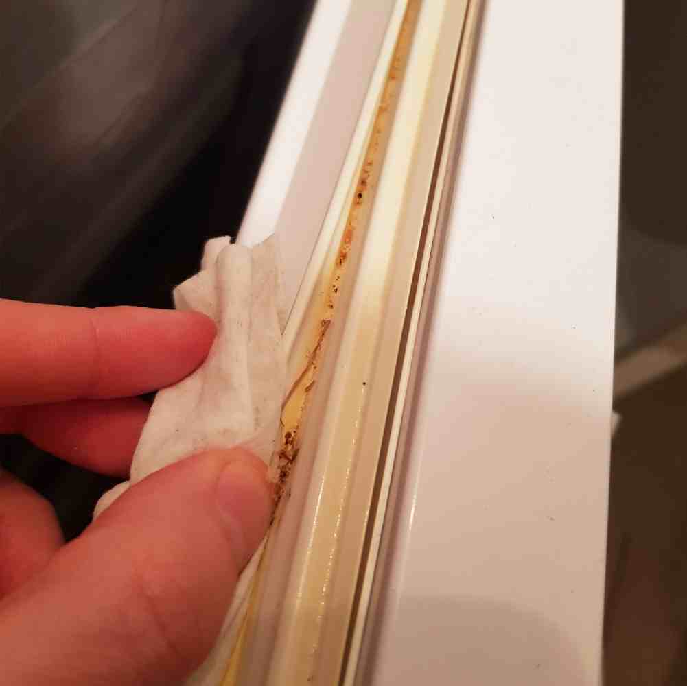 How To Maintain Your Door Seal Gasket Guy