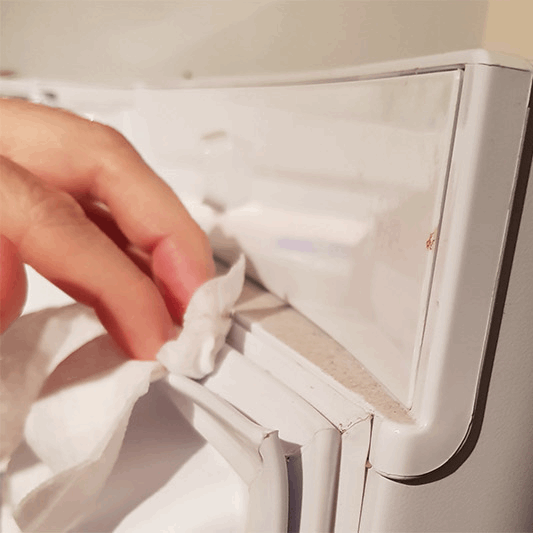 how to remove mold from fridge seal Gasket Guy