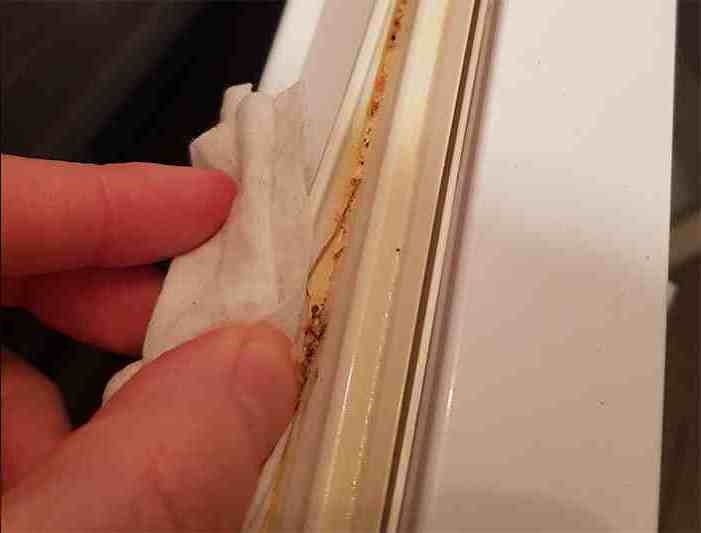 How to clean freezer seals without damaging them GasketGuy Gasket Guy